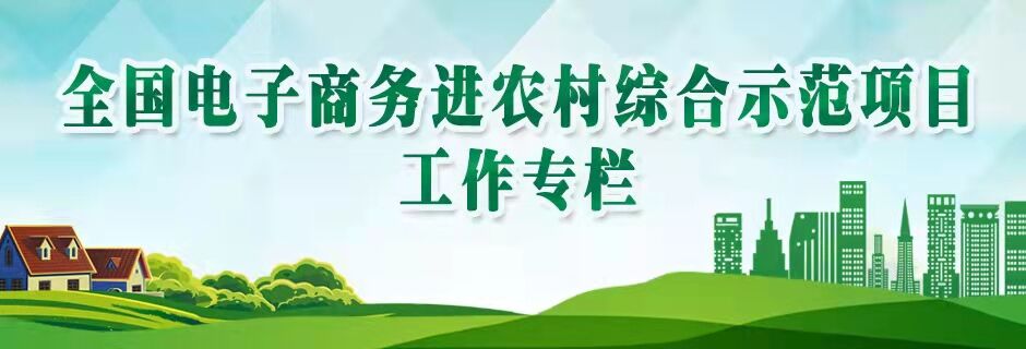 全國(guó)電子商務(wù)進(jìn)農(nóng)村綜合示范項(xiàng)目工作專欄